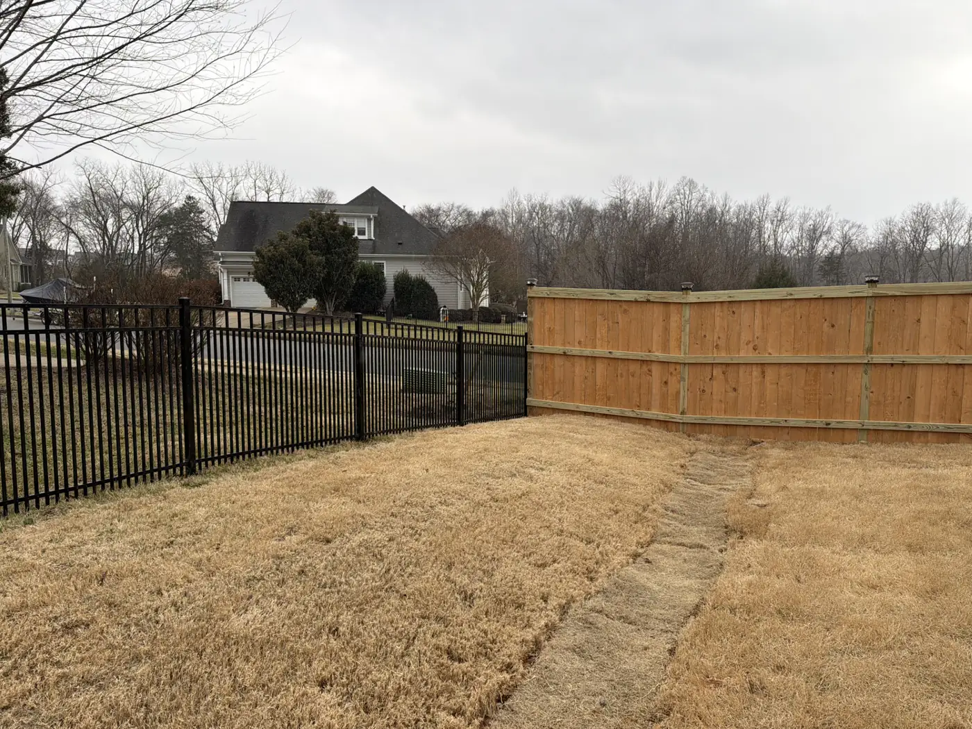 Black aluminum fence meeting a wood privacy fence at a shared boundary