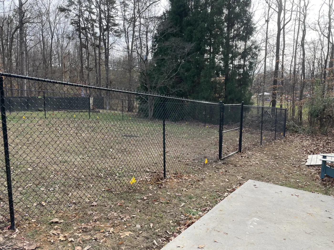 Black chain link fence and walk gate securing a wooded backyard