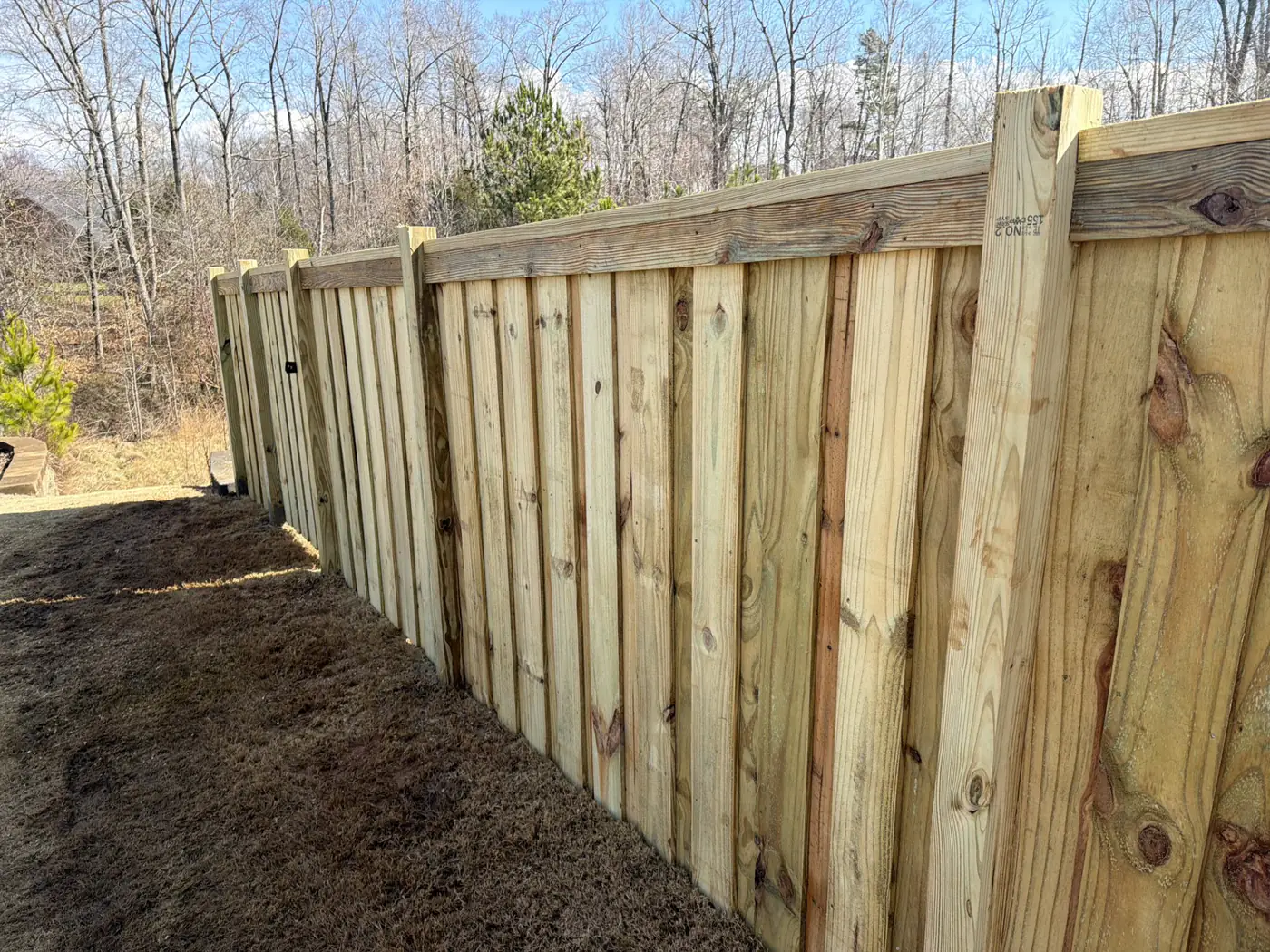 Pressure-treated wood privacy fence with a cap rail running along a wooded property line