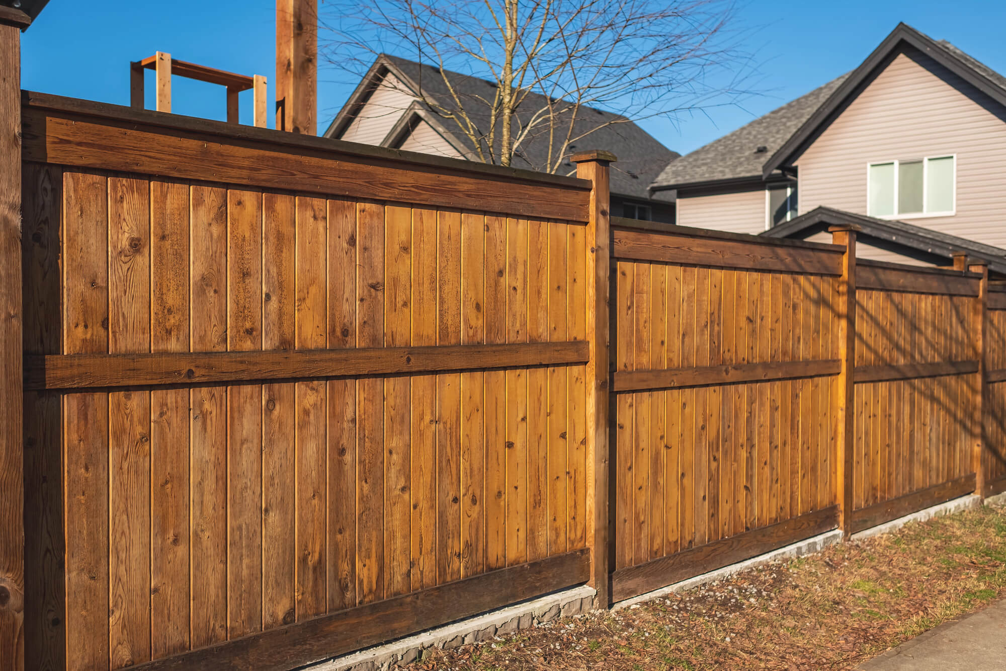 Cedar Fence